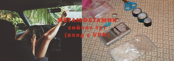прущие грибы Семикаракорск