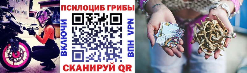хочу   Гагарин  Галлюциногенные грибы Psilocybe 