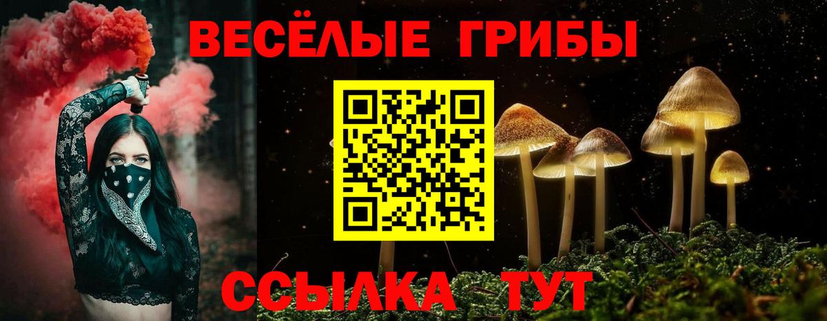 Галлюциногенные грибы MAGIC MUSHROOMS Гагарин