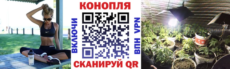 Каннабис планчик  Гагарин 